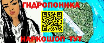 бошки Заводоуковск