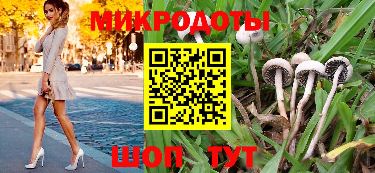 Кушва  Галлюциногенные грибы GOLDEN TEACHER  Псилоцибиновые грибы мухоморы  наркота  Вход с VPN 