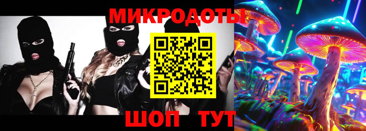 Псилоцибиновые грибы Psilocybe Кушва